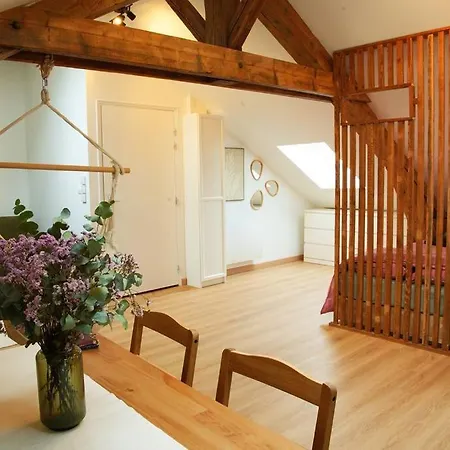 Apartmán De Charme A Nancy