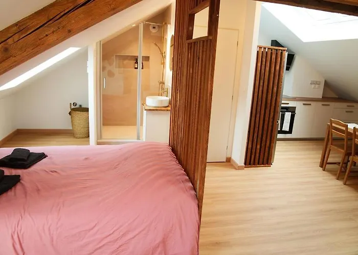 Apartmán De Charme A Nancy