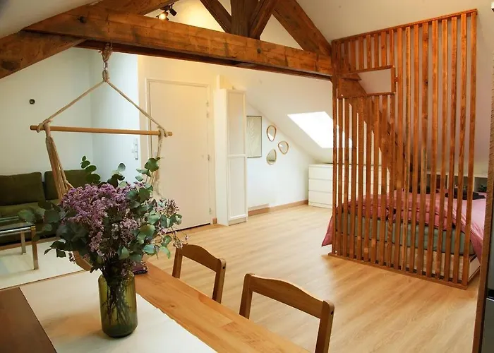 Apartmán De Charme A Nancy